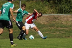 190818-SGOW_Fc_Kissingen_-DSC02815_Schilling_CD-Kopie