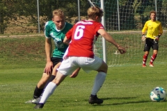 190818-SGOW_Fc_Kissingen_-DSC02921_Schilling_CD-Kopie