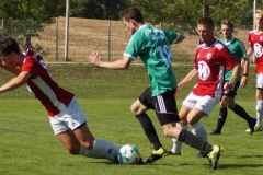 190818-SGOW_Fc_Kissingen_-DSC02943_Schilling_CD-Kopie