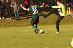 201004-SGOW1-Wiesentheid_DSC07800_Schilling_CD-v2