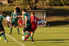 201004-SGOW1-Wiesentheid_DSC07815_Schilling_CD-v2