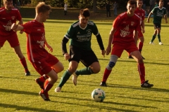 201004-SGOW1-Wiesentheid_DSC07874_Schilling_CD-v2