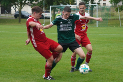 210822-SGOW1-Alt-Bessingen_DSC09362_Schilling_CD-v2