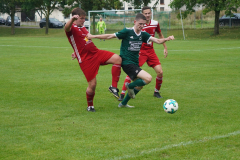 210822-SGOW1-Alt-Bessingen_DSC09364_Schilling_CD-v2